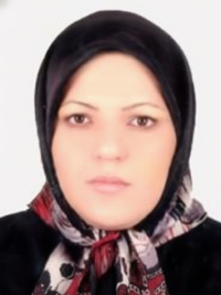 دکتر ندا رحیمی راد فلوشیپ طب مادر و جنین (پریناتولوژی) در شهر شیراز