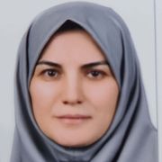 دکتر رضوان میرزائی فلوشیپ جراحی روده بزرگ (جراحی کولورکتال) در شهر تهران