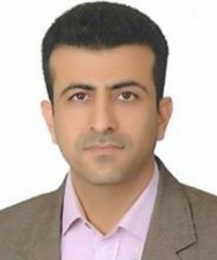 دکتر حمید عربی فلوشیپ اقدامات مداخلهای قلب و عروق کودکان (اینترونشنال قلب کودکان) در شهر شیراز