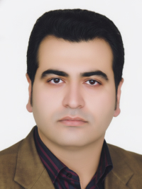 دکتر سیدحمزه موسوی