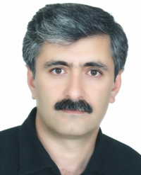 دکتر بهمن گشتاسبی فلوشیپ جراحی درون‌بین کلیه، مجاری ادراری و تناسلی (اندویورولوژی) در شهر شیراز